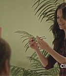 cougartown213_1135.jpg