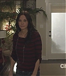 cougartown213_1351.jpg