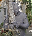 cougartown213_1630.jpg