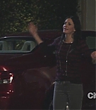 cougartown213_1811.jpg