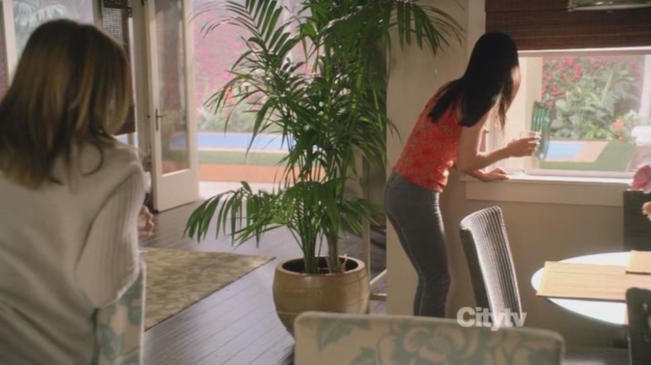 cougartown215_1233.jpg cougartown215_1233.jpg