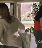 cougartown215_1227.jpg