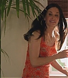 cougartown215_1235.jpg