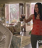 cougartown215_1250.jpg