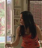 cougartown215_1295.jpg