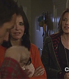 cougartown216_1450.jpg
