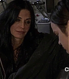 CCO218-237.jpg