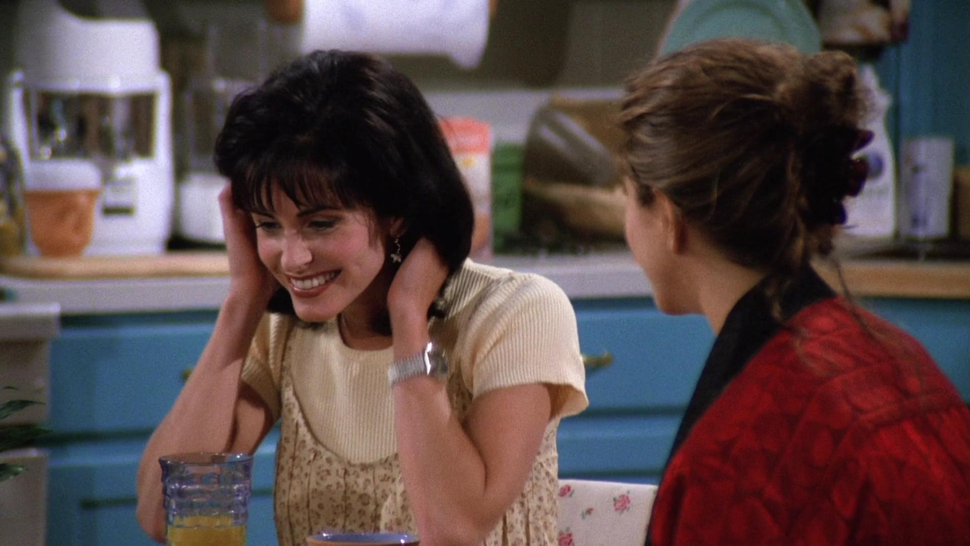 friends0101br-2351.jpg