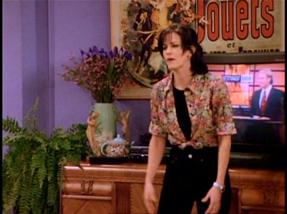 Friends_S02E17_Cap_234.JPG