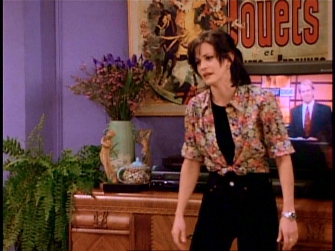 Friends_S02E17_Cap_236.JPG