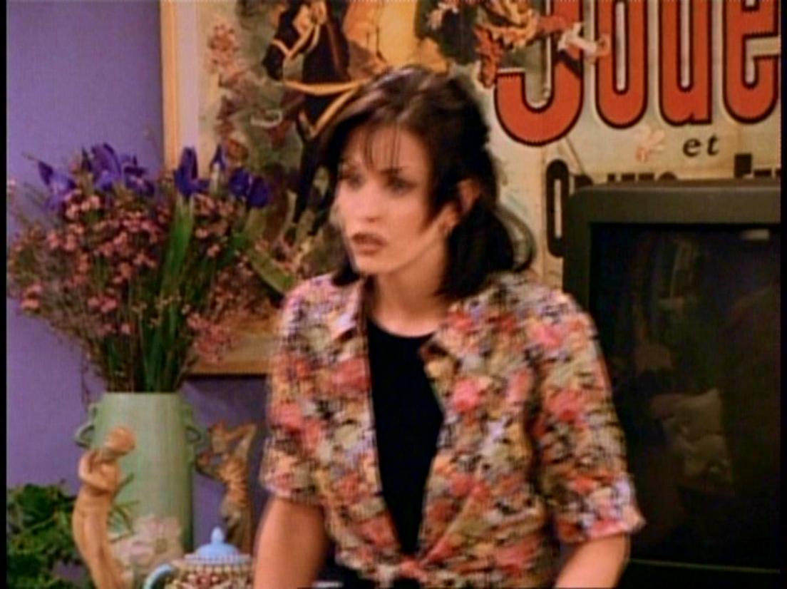Friends_S02E17_Cap_275.JPG