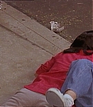 KMP-DVD0019.jpg