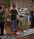 KMP-DVD0446.jpg
