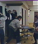 misfitsofscience_12998.jpg
