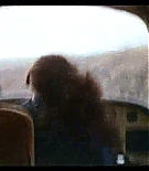 1984.jpg